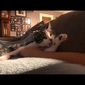 Meet your Posher, Jacque